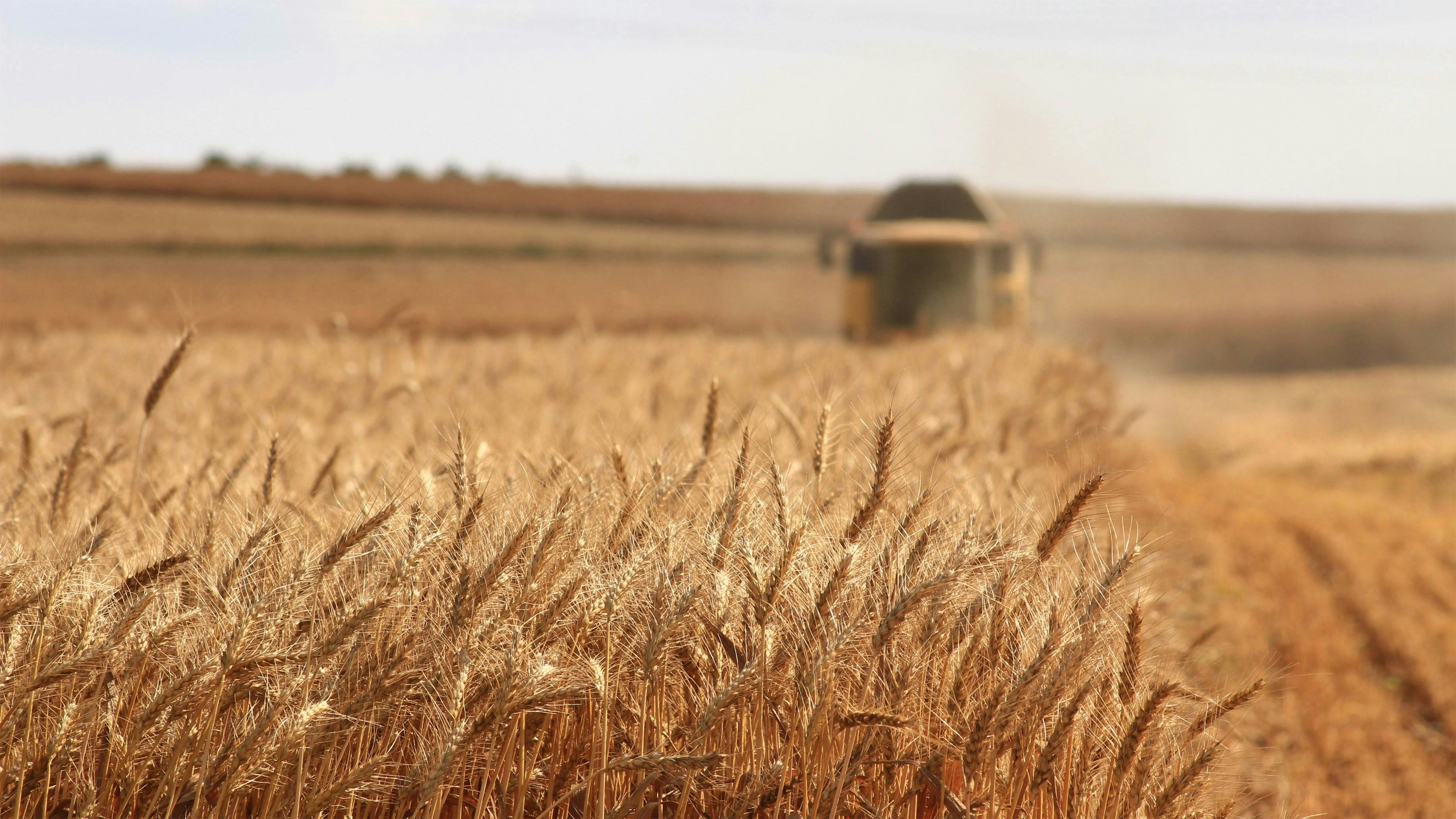 Strategies for Hedging Agricultural Commodities