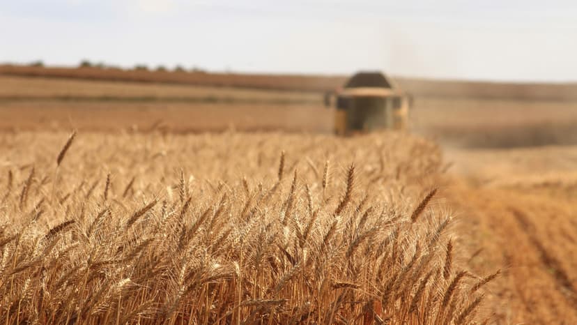 Strategies for Hedging Agricultural Commodities